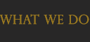 What We Do
